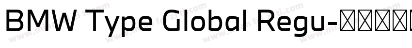 BMW Type Global Regu字体转换